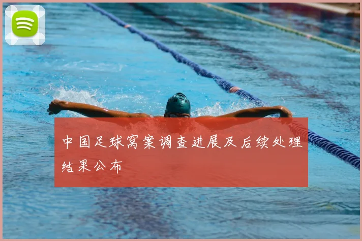 中国足球窝案调查进展及后续处理结果公布