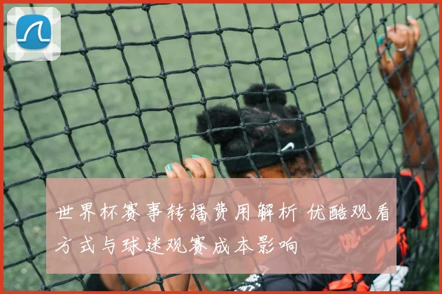 世界杯赛事转播费用解析 优酷观看方式与球迷观赛成本影响