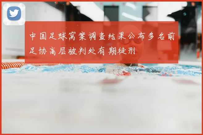 中国足球窝案调查结果公布多名前足协高层被判处有期徒刑