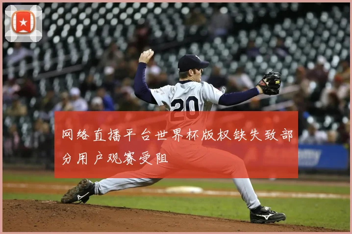 网络直播平台世界杯版权缺失致部分用户观赛受阻