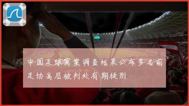 中国足球窝案调查结果公布多名前足协高层被判处有期徒刑