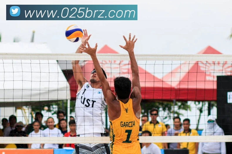 milan登录入口品牌故事